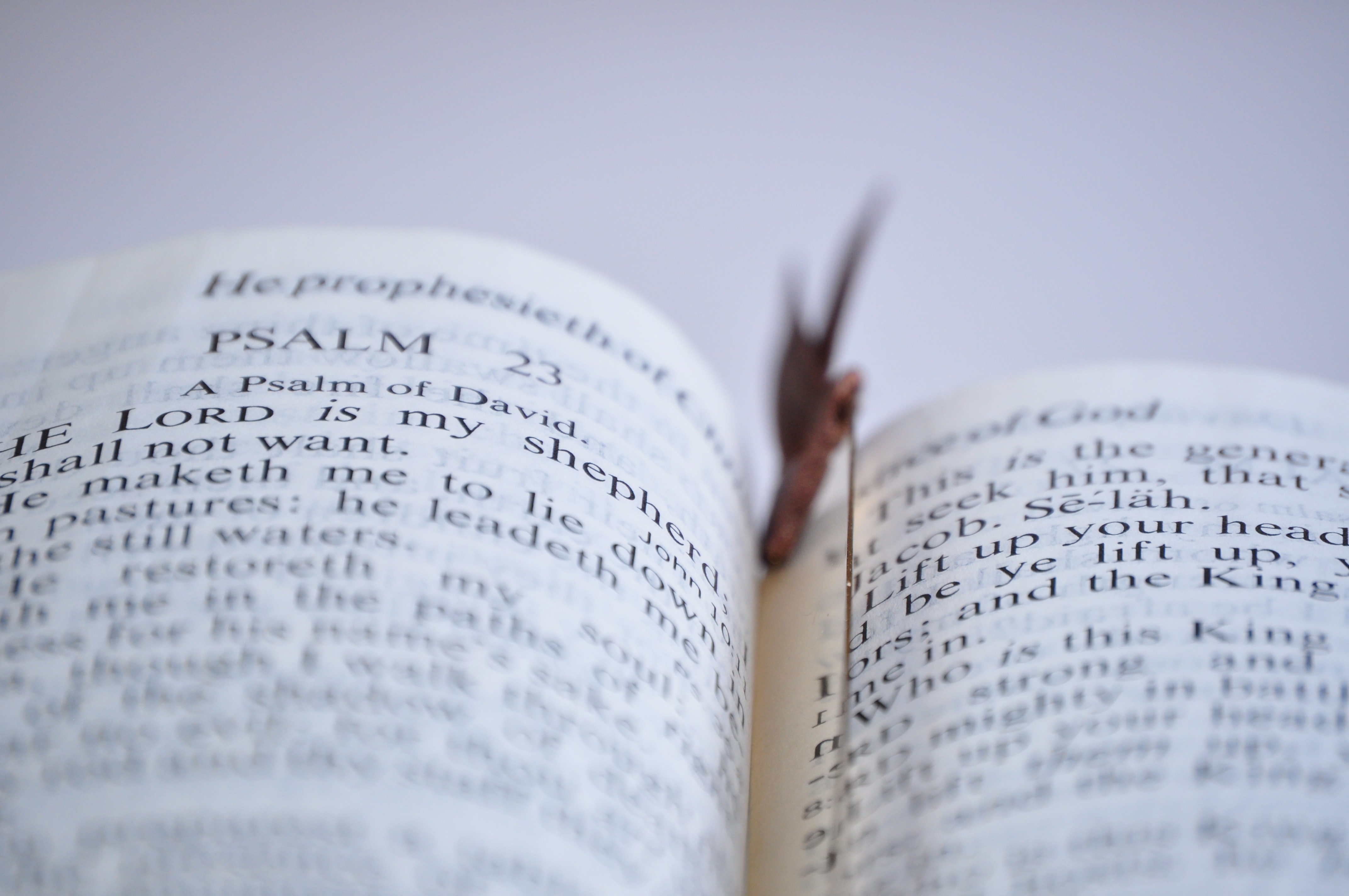 la biblia en un año