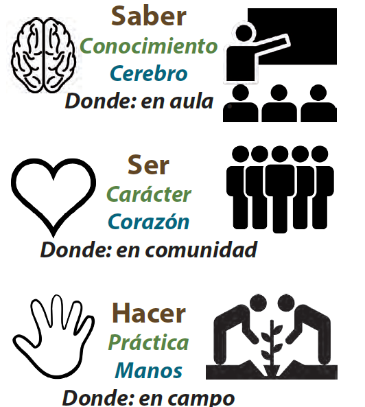 3 fasetas