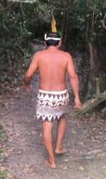 Caminando mi llamado a la selva