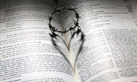 vida